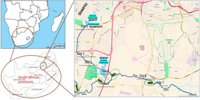 Trace Detection and Quantitation of Antibiotics in a South African Stream Receiving Wastewater Effluents and Municipal Dumpsite Leachates